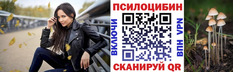 Псилоцибиновые грибы мицелий  Купить где  Стародуб 
