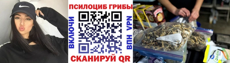 Галлюциногенные грибы Cubensis Стародуб